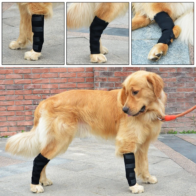 1 Пара Бандажей для скакательных суставов задней ноги Собаки, обертывание для собак, защищает от заживления ран и растяжений, Поддержка при травмах растяжений S/для M/L/XL Изображение 1 
